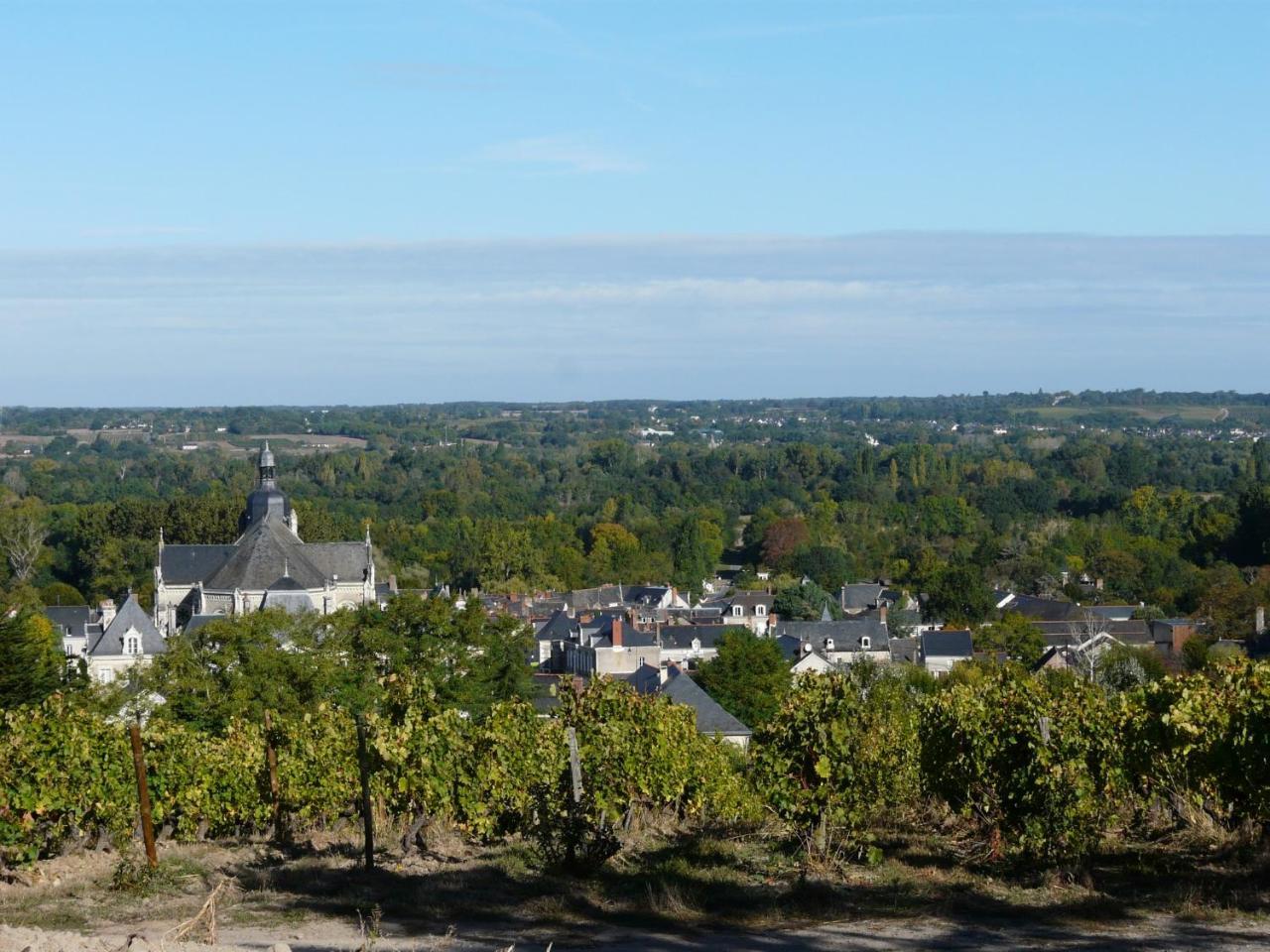 Clos Sainte Catherine Rochefort-sur-Loire Exterior photo